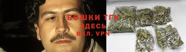 PSILOCYBIN Богородицк