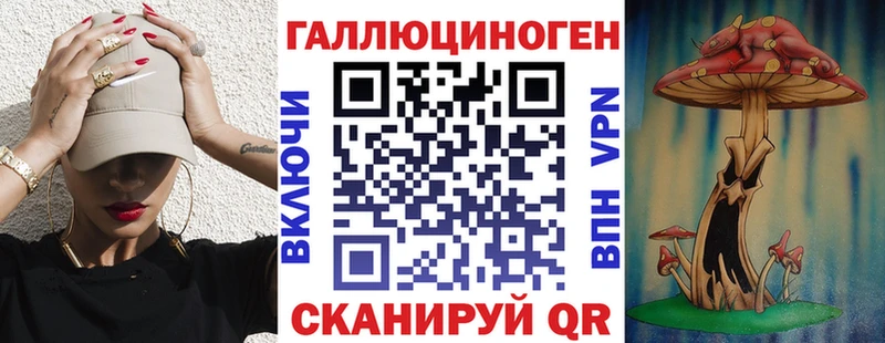 Галлюциногенные грибы Psilocybine cubensis  где продают наркотики  Гусев 